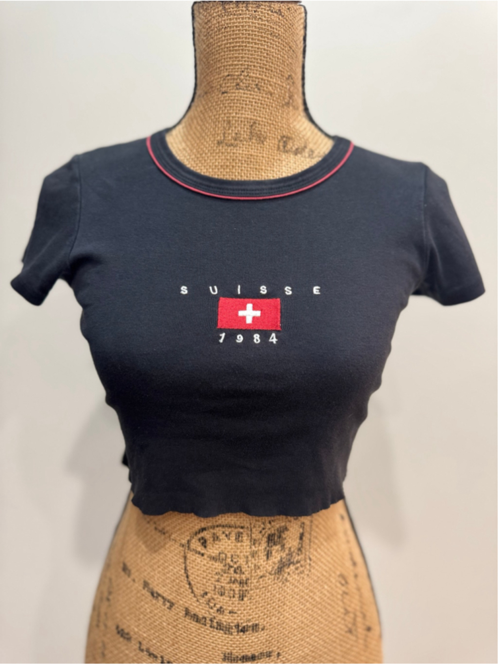 J Galt Y2K 90s Grunge Suisse Flag Embroidered Raw Hem Crop Baby Tee Casual